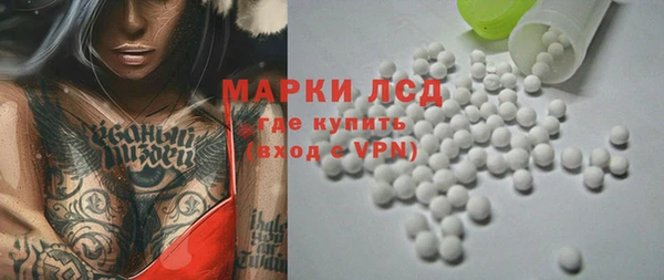 ECSTASY Ельня