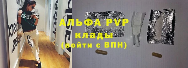 ECSTASY Ельня