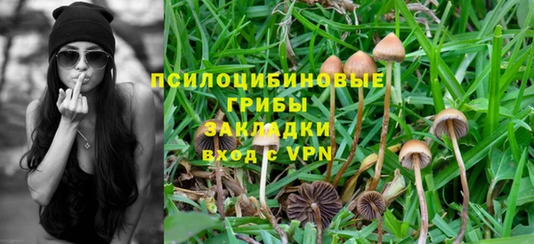 прущий лед Весьегонск