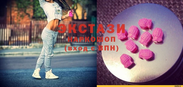 ECSTASY Ельня