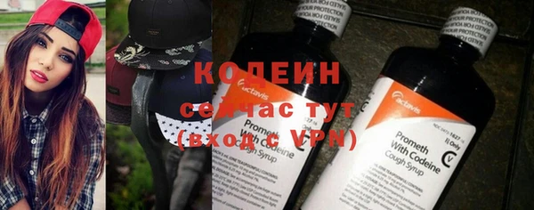 ECSTASY Ельня