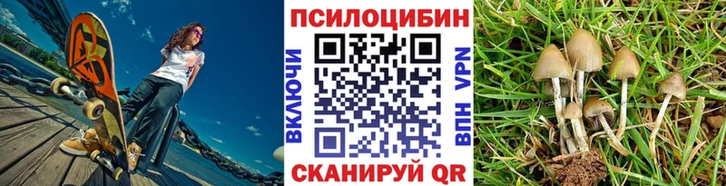 Псилоцибиновые грибы мицелий  Старица 